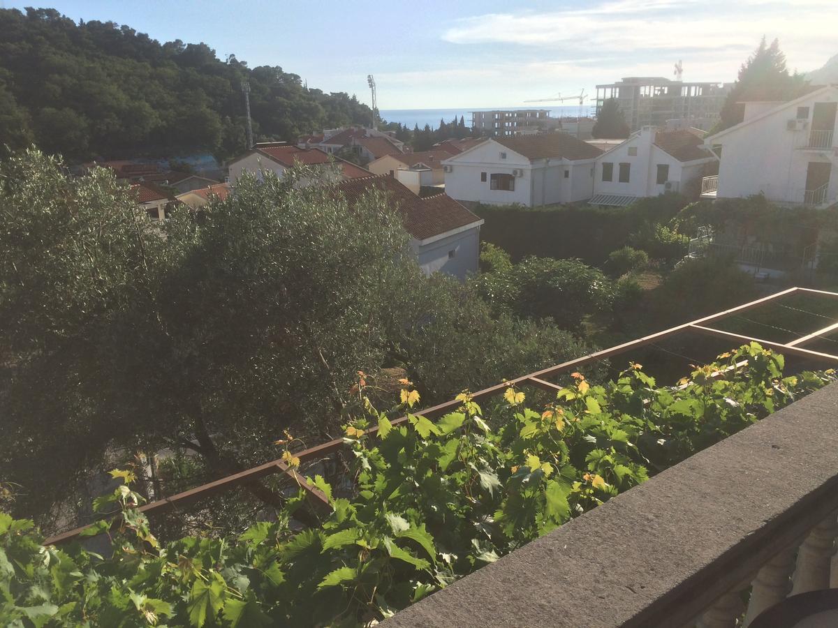 Apartments Mrvaljevic Petrovac Exterior photo