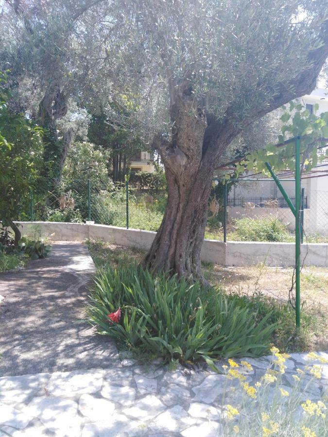 Apartments Mrvaljevic Petrovac Exterior photo