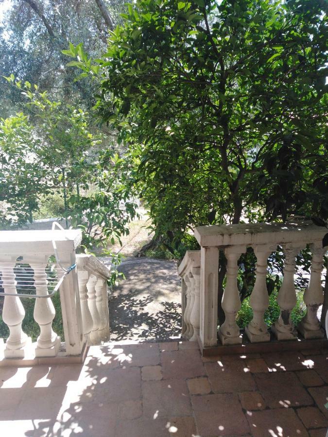 Apartments Mrvaljevic Petrovac Exterior photo