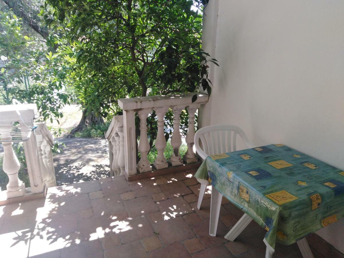Apartments Mrvaljevic Petrovac Exterior photo